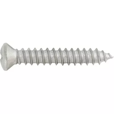 Au-ve-co 1483 Tapping Screw, #8 Thread, 1 in OAL, Phillips Oval Head, Chrome
