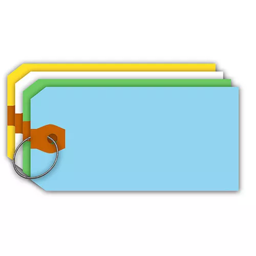Extra Large All-Purpose Paper Key Tags