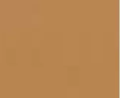 Sedona Tan - Automotive Aerosol Spray Paint