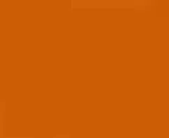 Signal Orange – Automotive Aerosol Spray Paint
