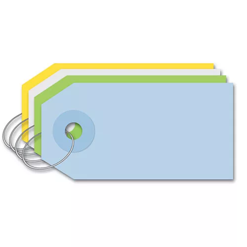 Standard All-Purpose Paper Key Tags